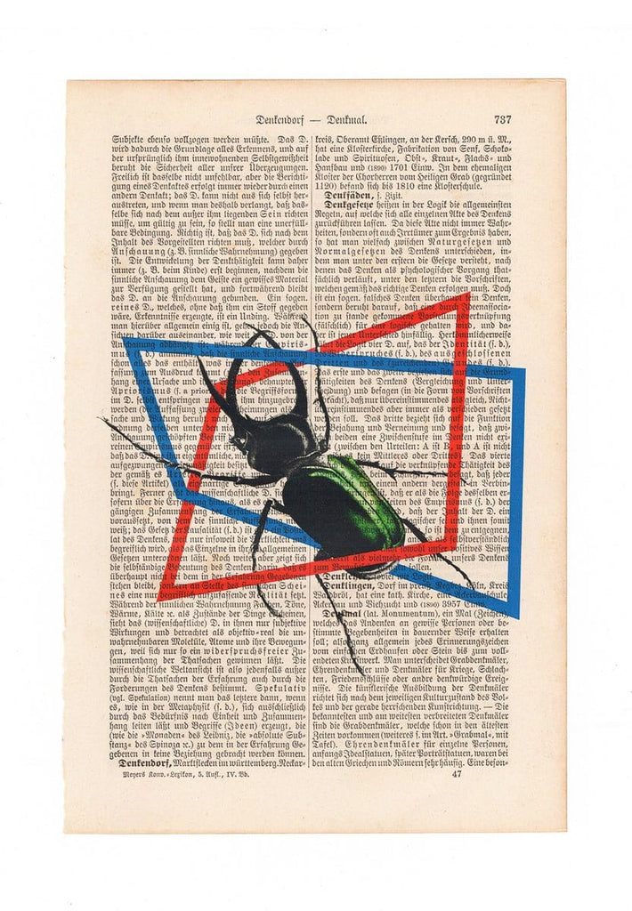 Beetle in time - Art on Words