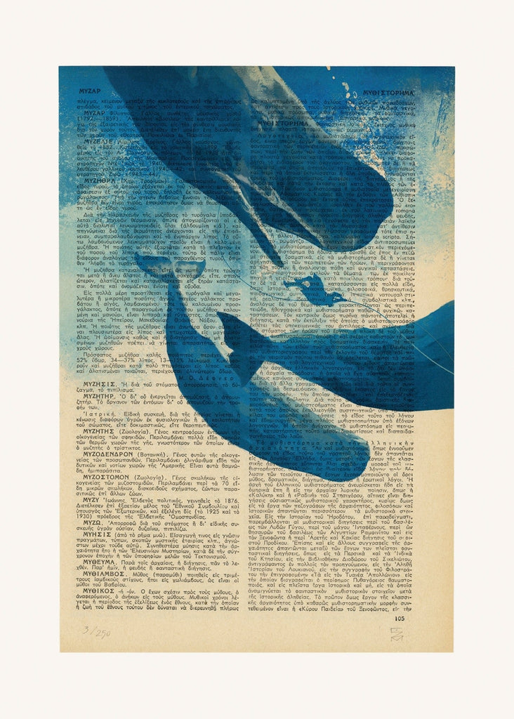 Blue Whales - Cosimo Miorelli (Limited edition of 250) - Art on Words