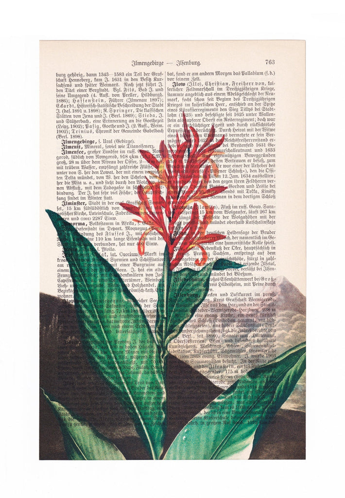 Indian Reed - Robert John Thornton - Art on Words