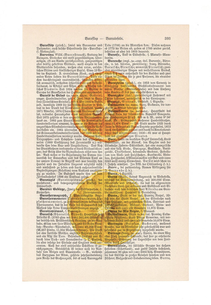 Mandarin and Lemon - Art on Words