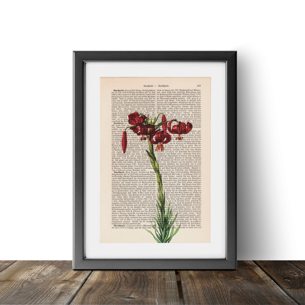 Lilium - Flower - Art on Words