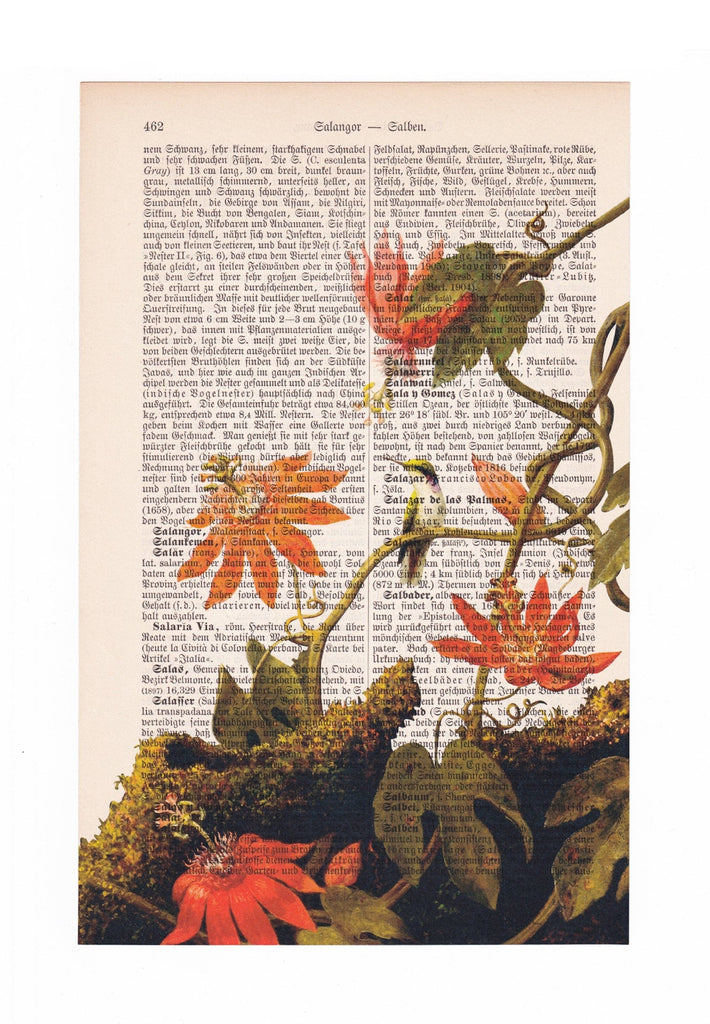 Hummingbird and Passionflowers - Martin Johnson Heade - Art on Words