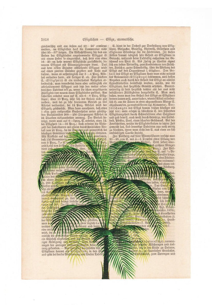 Lovely Palm - Art on Words