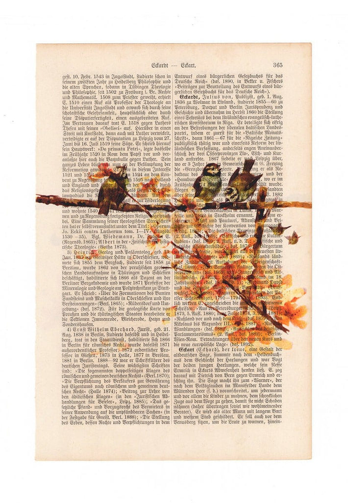 Three Little Birds - Art on Words