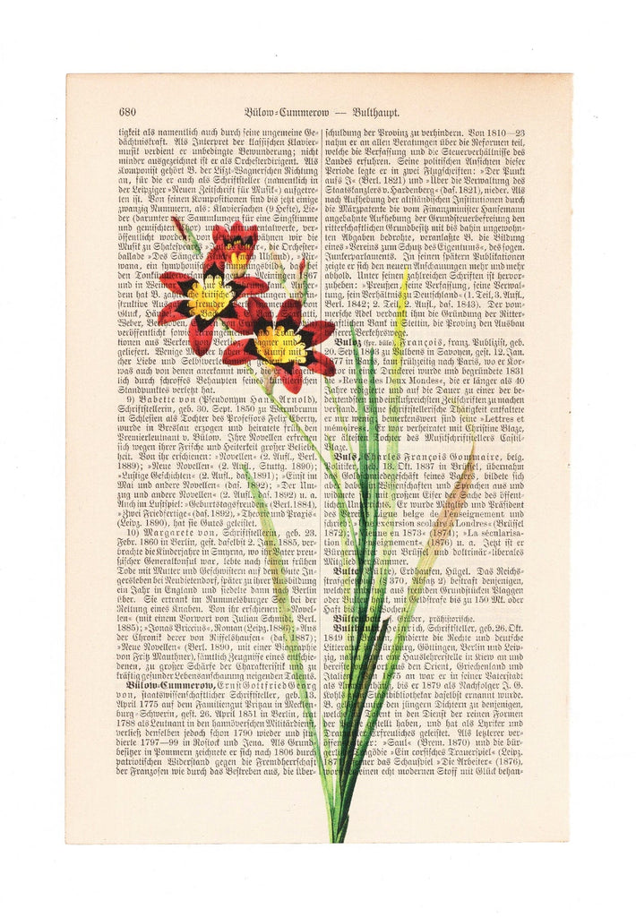 Wandflower - Flower - Art on Words