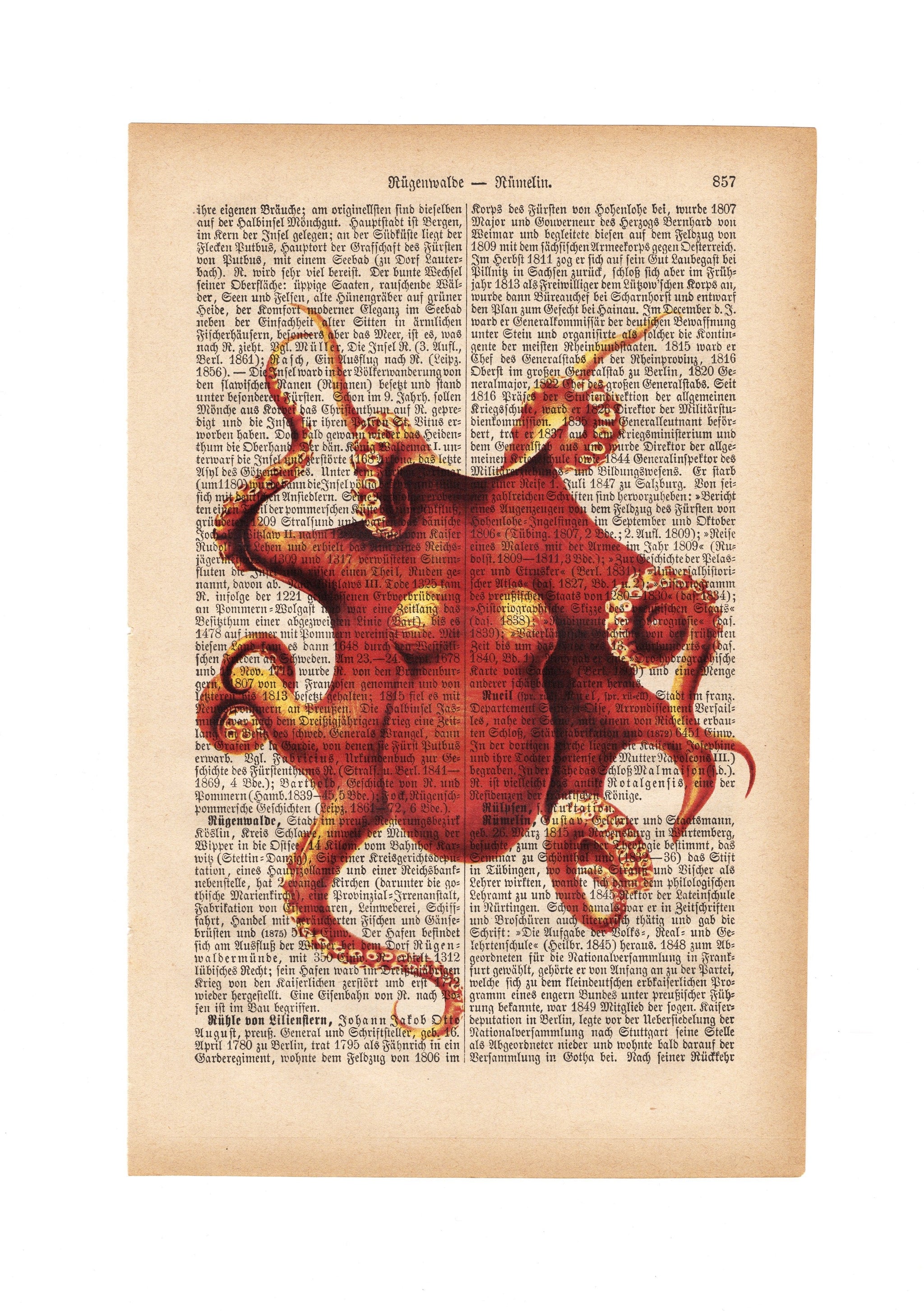 octopus-book-page-artwork-