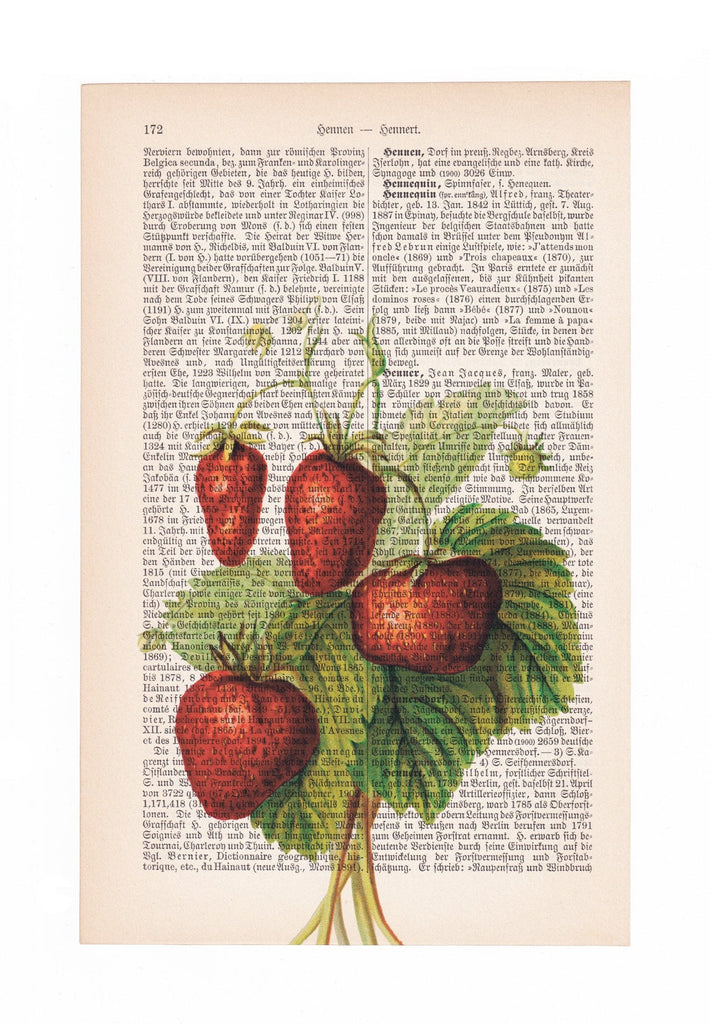 Strawberries - Art on Words